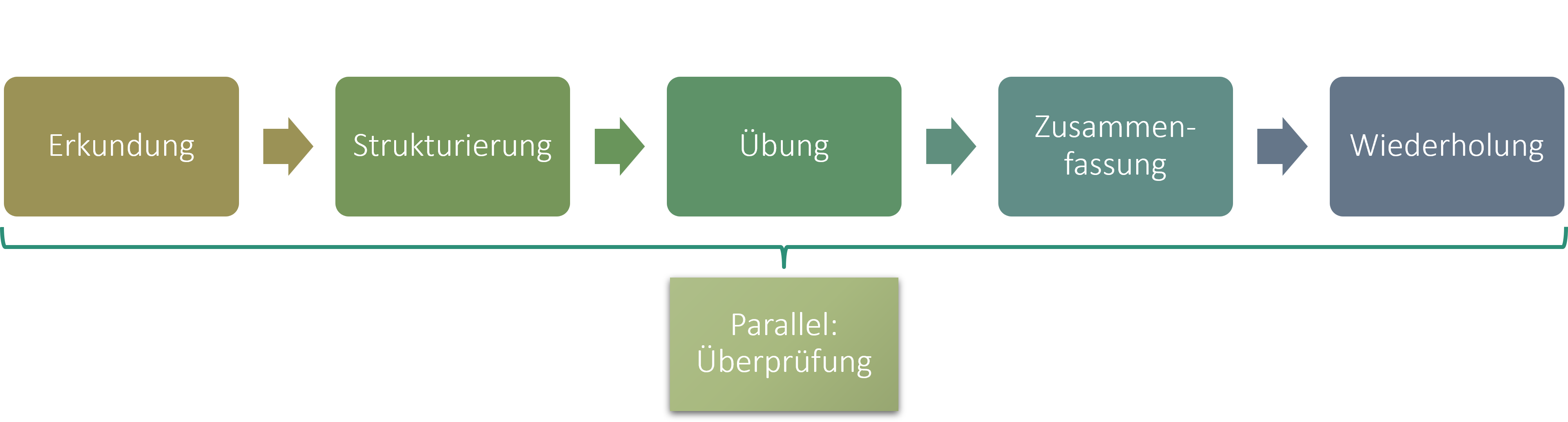 Aufbau der Unterrichtsreihen mit o-mathe