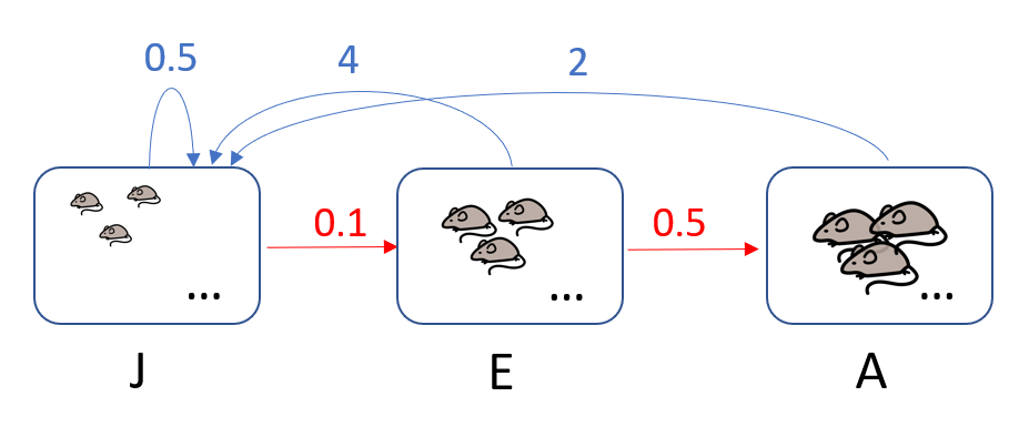 &Uuml;bergangsgraph zur Populationsentwicklung