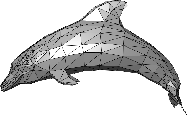 Dreiecksnetz eines Delphins